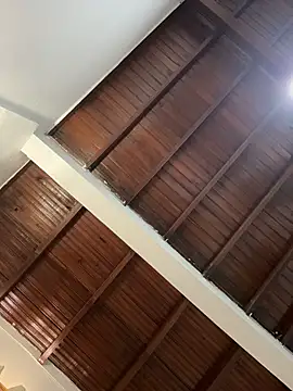 emiss  online show from April 27, 3:20 pm