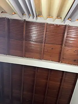 emiss  online show from April 21, 4:25 pm