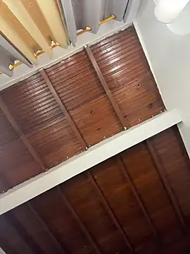 emiss  online show from May 26, 4:17 pm