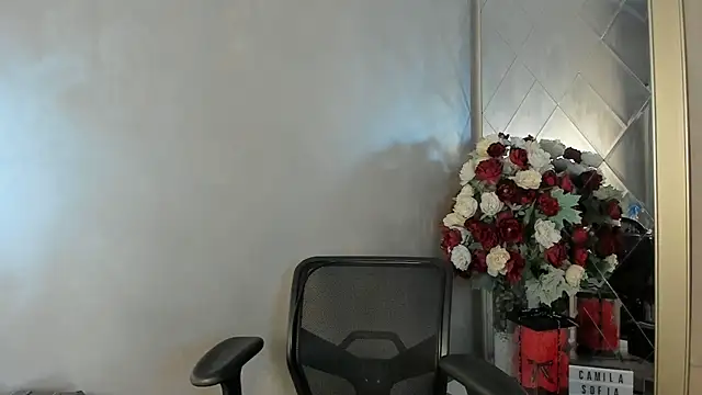 Snapshot of CamilaSofiia chatting on September 28, 12:07 am CamilaSofiia online show from September 28, 12:07 am