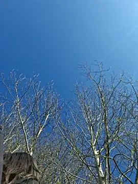 LydiaMaus96 online show from April 21, 1:40 pm