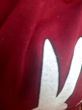 Priya Bong online show from November 11, 10:45 am