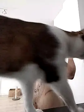 divine eve online show from April 22, 10:23 am