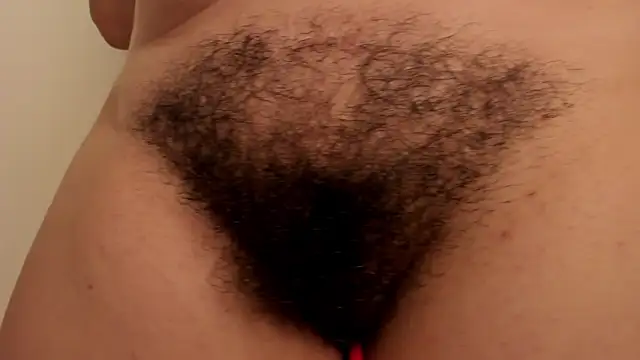 Im coco online show from April 25, 1:41 pm