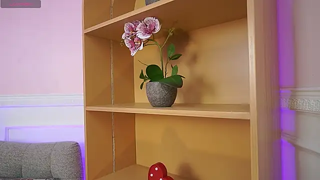 Anybuny online show from November 7, 11:49 am