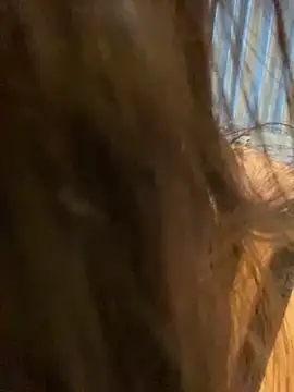 Hotellinh12 online show from October 13, 5:26 pm