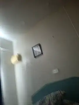 Off the Lesh online show from February 1, 2:54 am