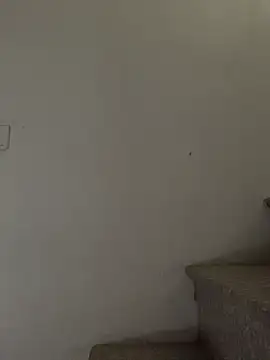 Bubble Treee online show from November 14, 7:30 am