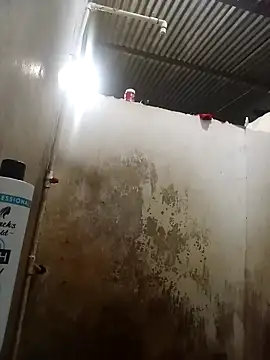 Andreita 95 online show from December 15, 1:00 am