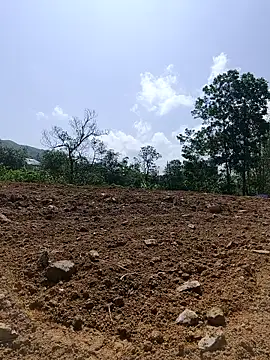 lyna bl online show from March 8, 2:04 am