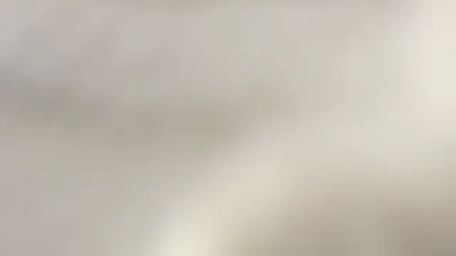 celestica rose online show from March 8, 2:04 am