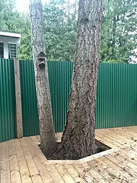 twist699 online show from December 20, 8:35 pm