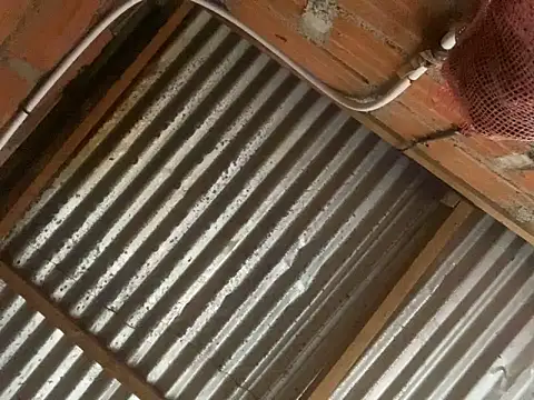 AlexaWarner online show from March 30, 9:03 pm