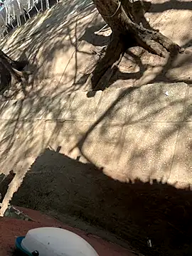  Gyy  online show from October 12, 8:28 am