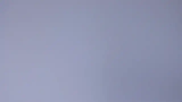 Sophia Cambpell online show from April 21, 9:55 pm