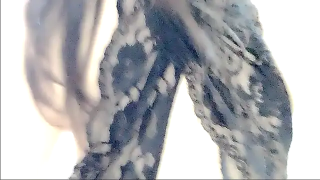 aisha123123 online show from October 12, 3:31 am