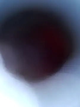 Shikhasexy34 online show from February 11, 1:23 pm