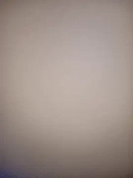 bustybillies online show from February 12, 10:39 am