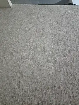 Priya Strip online show from February 13, 8:21 pm