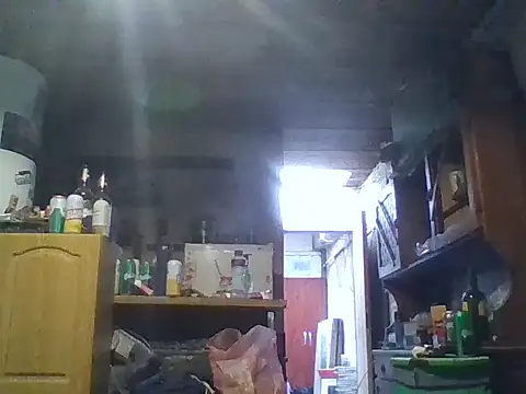 ar Lily online show from March 7, 12:12 pm