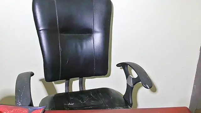 Skyapu online show from April 28, 3:05 pm