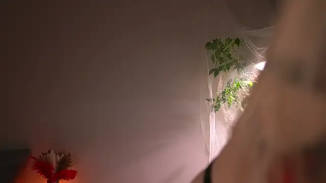 lorrie love story online show from October 12, 8:39 am