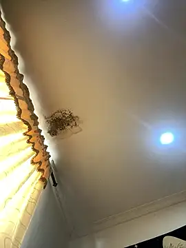 pawmistry online show from January 10, 6:34 pm