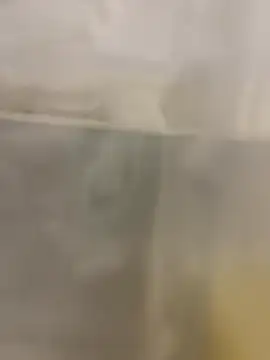 pupine35 online show from September 9, 1:55 pm