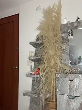 doll celeste20 online show from April 22, 2:52 am