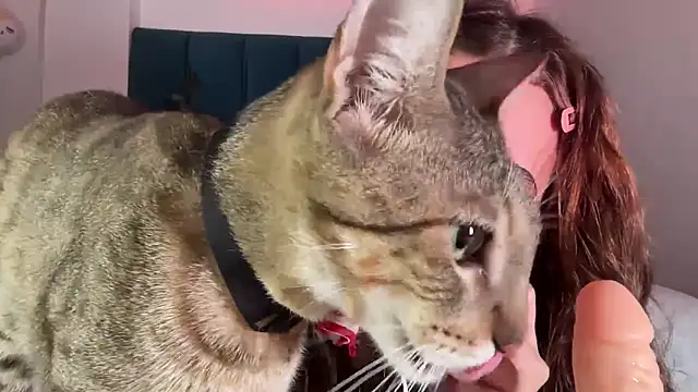 alice guerin  online show from February 20, 6:26 am