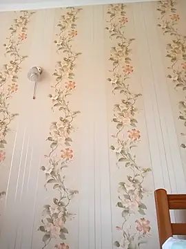 PanbaPanna online show from April 28, 12:53 pm