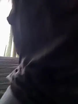 mikeysloan online show from March 12, 9:56 am