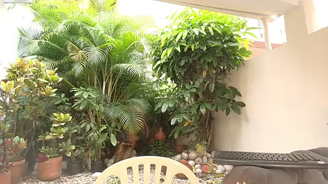 DannaDooll99 online show from October 12, 12:51 pm