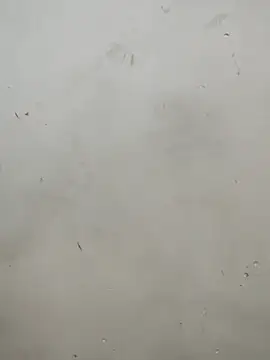 Sania-Love online show from December 15, 11:21 pm