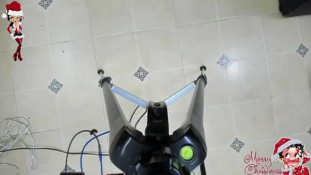 playsgirlhot online show from November 8, 11:15 am