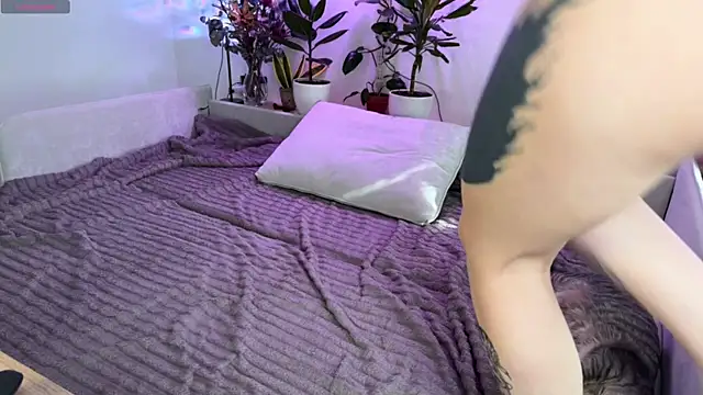 PaulaPratt online show from April 14, 6:57 am