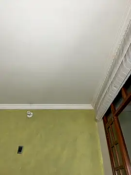 aurora divine online show from November 16, 12:01 am