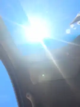 vivicolibri online show from April 27, 3:42 pm