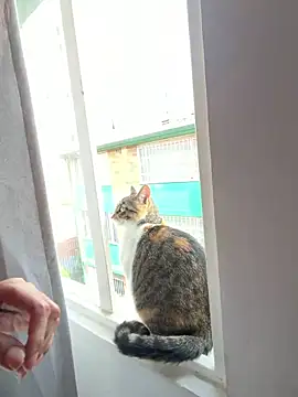 Sofizuly online show from April 28, 8:13 pm