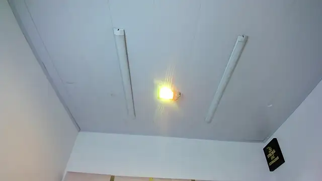 IsabellRodriguez18 online show from June 4, 3:12 am