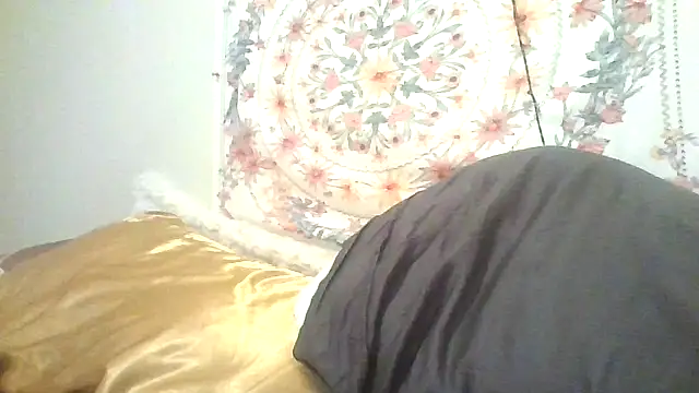 Snapshot of angeliquebelcali chatting on September 13, 2:52 am angeliquebelcali online show from September 13, 2:52 am
