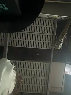 PhattPinxkTaco online show from March 29, 4:39 pm