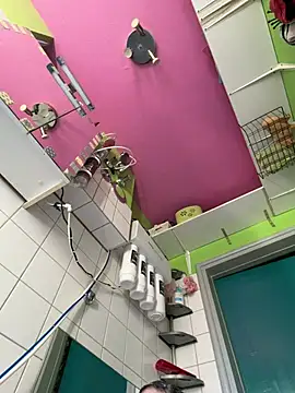 sexymelli18 online show from April 23, 3:58 pm