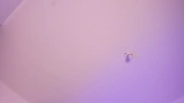 emily-777 online show from December 18, 10:03 pm