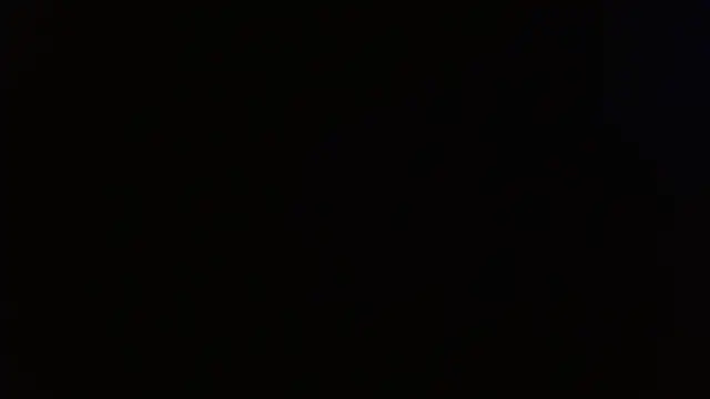 Pandora 9666 online show from April 26, 5:21 pm