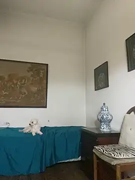 KititA12 online show from February 22, 5:08 am