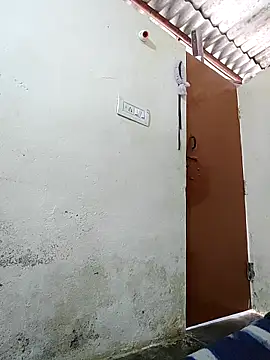 pallu telgu kannada online show from October 10, 7:02 am