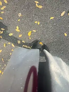 xiaoyuan01 online show from December 19, 5:32 am