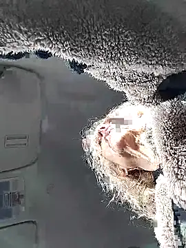 clarabell4 online show from April 27, 6:43 am