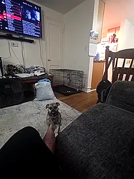 Tricky-Dicky online show from April 24, 12:35 am